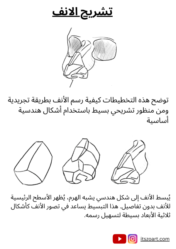⁦تعلم كيفية رسم البورتريه مع كتاب لوميس و الملامح⁩ - الصورة ⁦7⁩